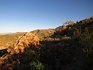 photo thumbnail #3
