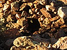 photo thumbnail #12