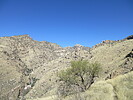 photo thumbnail #1