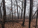 photo thumbnail #12