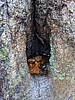 photo thumbnail #13