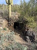 photo thumbnail #6