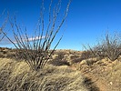 photo thumbnail #7