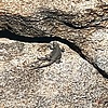2023-02-06 :2: Guadalupe Ridge - AKA Midlife Crisis / Scott :: LindaAnn