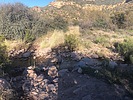 photo thumbnail #7