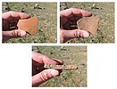 photo thumbnail #7