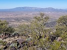 2023-02-05 :3: Black Butte :: DixieFlyer