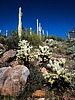 photo thumbnail #5