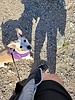 photo thumbnail #5