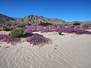 photo thumbnail #15