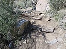 photo thumbnail #1