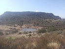 photo thumbnail #7