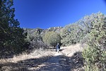 photo thumbnail #5
