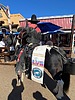 photo thumbnail #8