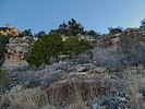photo thumbnail #7