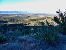 photo thumbnail #3