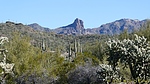 photo thumbnail #6