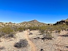 photo thumbnail #2