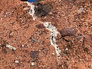 photo thumbnail #14