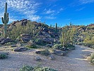photo thumbnail #3