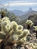 photo thumbnail #6