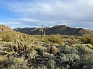 2023-02-11 :1: Verrado Petroglyphs and Peak 1976 :: John10s