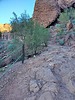 photo thumbnail #5