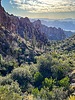photo thumbnail #6