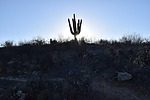 photo thumbnail #11