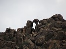 photo thumbnail #11