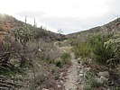 photo thumbnail #4