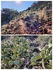 2023-02-08 :1: Airport Loop Trail :: tibber