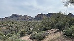 photo thumbnail #11