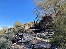 photo thumbnail #4