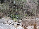 photo thumbnail #10