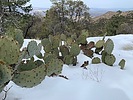 photo thumbnail #5