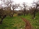 photo thumbnail #10