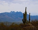 photo thumbnail #3