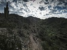 photo thumbnail #1