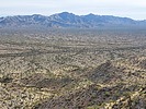 2023-02-18 :3: Little Buckskin Mountains HP :: DixieFlyer