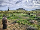 photo thumbnail #15