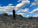 photo thumbnail #5