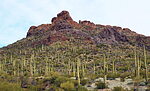 photo thumbnail #14