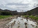 photo thumbnail #8