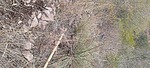 photo thumbnail #12