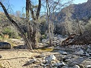 photo thumbnail #2