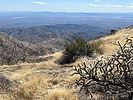 photo thumbnail #8
