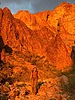 photo thumbnail #6