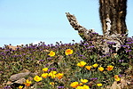 photo thumbnail #4