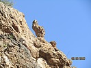 photo thumbnail #13